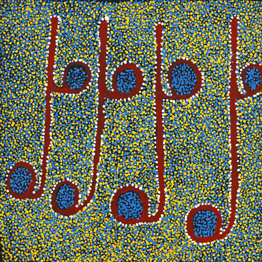 Aboriginal Artwork by Joshua Jungarrayi Brady, The Seven Sisters - Anangu Pitjantjatjara Yankunytjatjara Jukurrpa, 46x46cm
