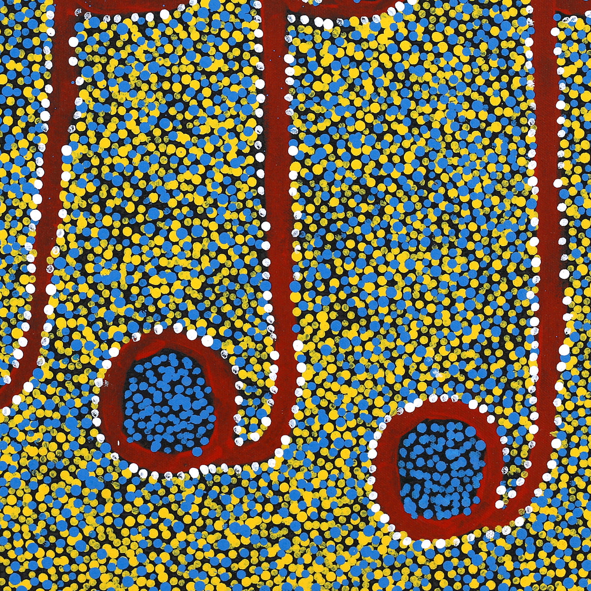 Aboriginal Art by Joshua Jungarrayi Brady, The Seven Sisters - Anangu Pitjantjatjara Yankunytjatjara Jukurrpa, 46x46cm - ART ARK®