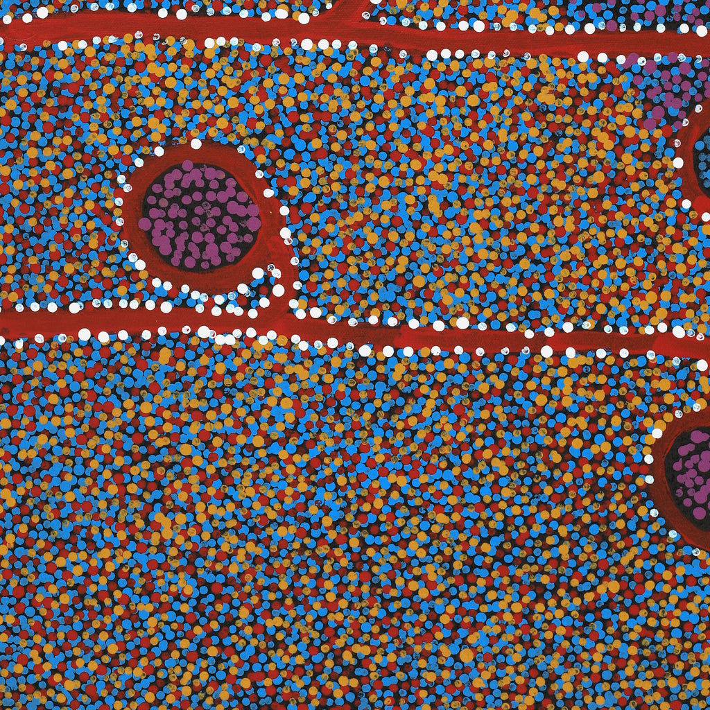 Aboriginal Artwork by Joshua Jungarrayi Brady, The Seven Sisters - Anangu Pitjantjatjara Yankunytjatjara Jukurrpa, 61x46cm