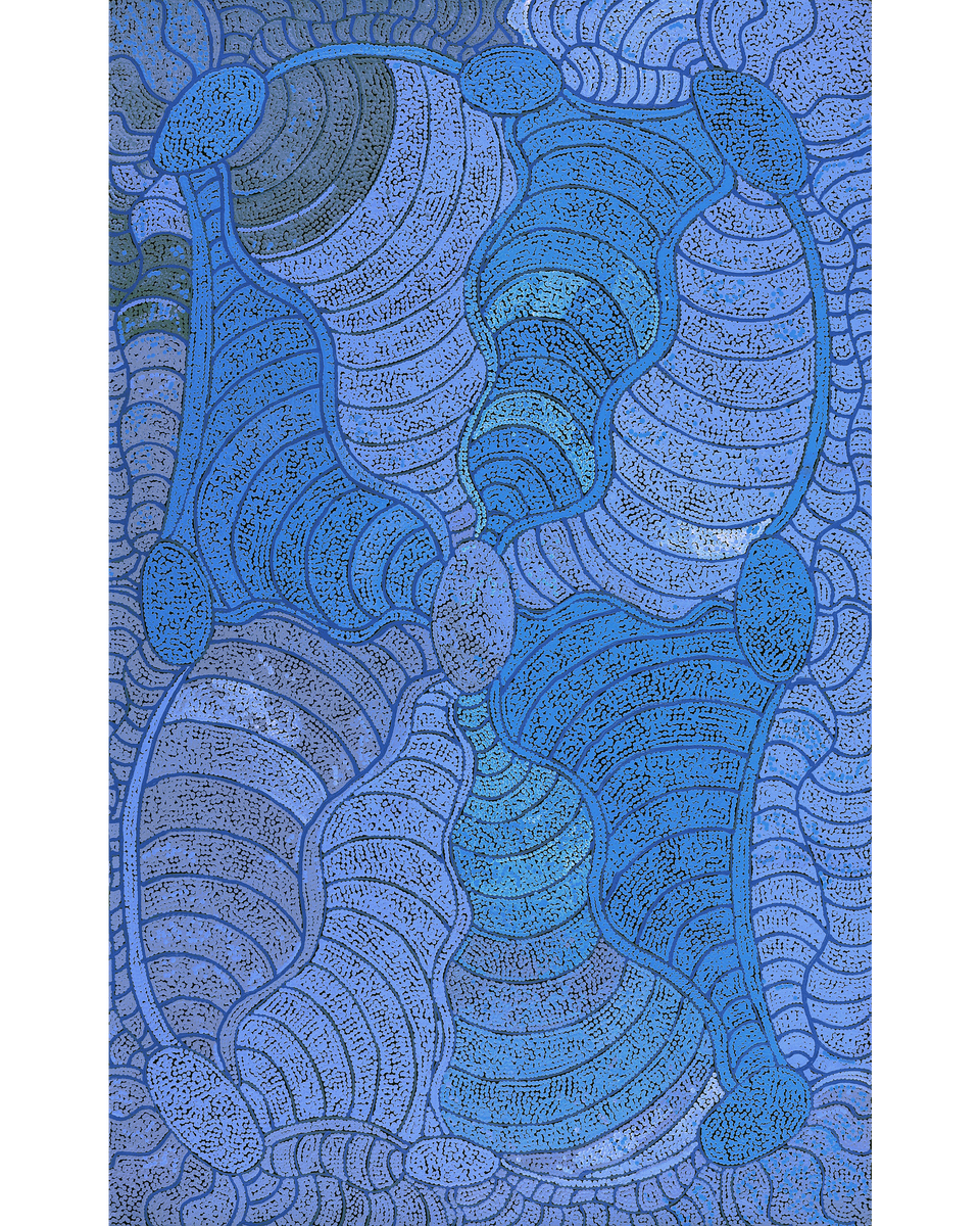 Aboriginal Artwork by Judith Nungarrayi Martin, Janganpa Jukurrpa (Brush-tail Possum Dreaming) - Mawurrji, 122x76cm