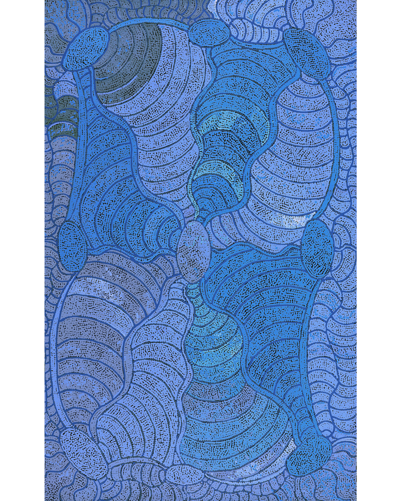 Aboriginal Artwork by Judith Nungarrayi Martin, Janganpa Jukurrpa (Brush-tail Possum Dreaming) - Mawurrji, 122x76cm