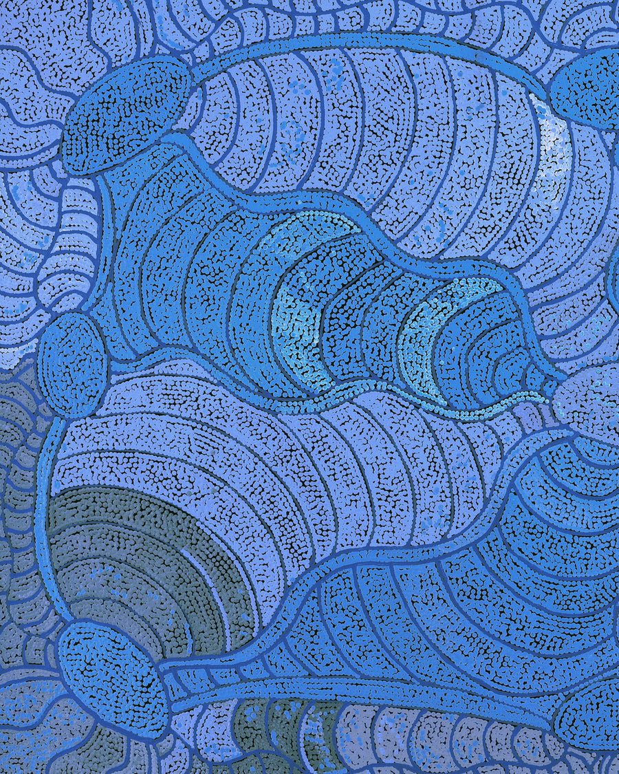 Aboriginal Artwork by Judith Nungarrayi Martin, Janganpa Jukurrpa (Brush-tail Possum Dreaming) - Mawurrji, 122x76cm