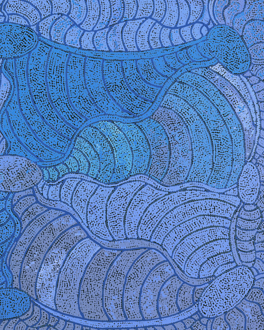 Aboriginal Artwork by Judith Nungarrayi Martin, Janganpa Jukurrpa (Brush-tail Possum Dreaming) - Mawurrji, 122x76cm