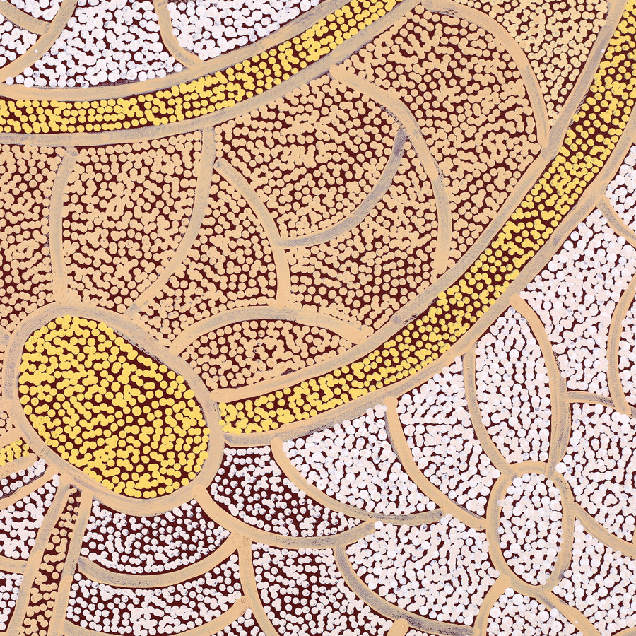 Aboriginal Artwork by Judith Nungarrayi Martin, Janganpa Jukurrpa (Brush-tail Possum Dreaming) - Mawurrji, 183x122cm