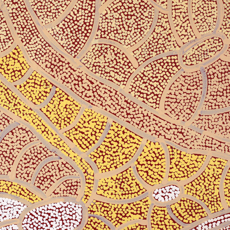Aboriginal Artwork by Judith Nungarrayi Martin, Janganpa Jukurrpa (Brush-tail Possum Dreaming) - Mawurrji, 183x122cm
