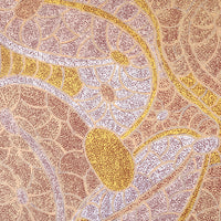 Aboriginal Artwork by Judith Nungarrayi Martin, Janganpa Jukurrpa (Brush-tail Possum Dreaming) - Mawurrji, 183x122cm