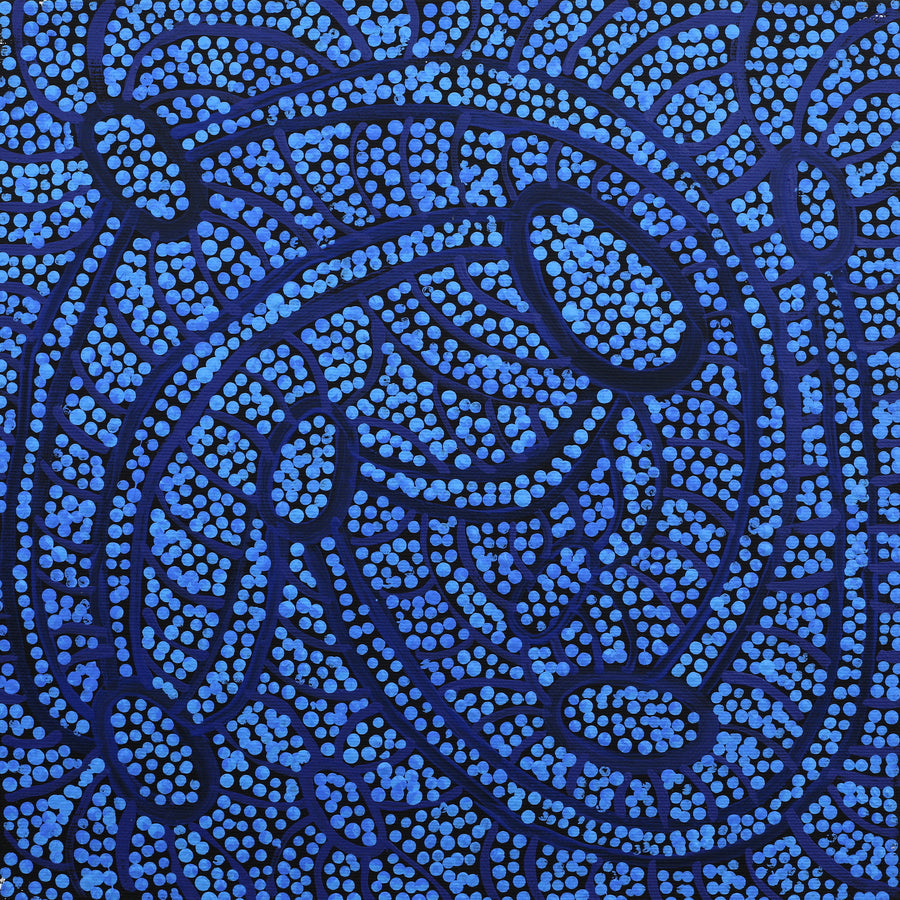 Aboriginal Artwork by Judith Nungarrayi Martin, Janganpa Jukurrpa (Brush-tail Possum Dreaming) - Mawurrji, 30x30cm