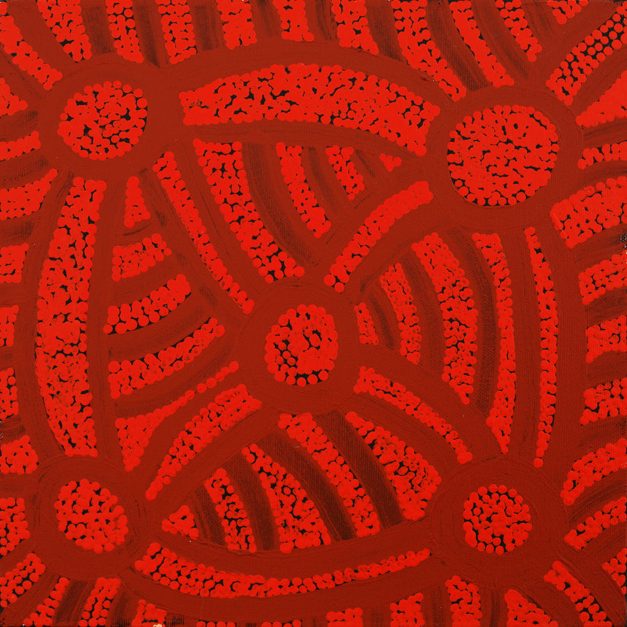 Aboriginal Artwork by Judith Nungarrayi Martin, Janganpa Jukurrpa (Brush-tail Possum Dreaming) - Mawurrji, 30x30cm