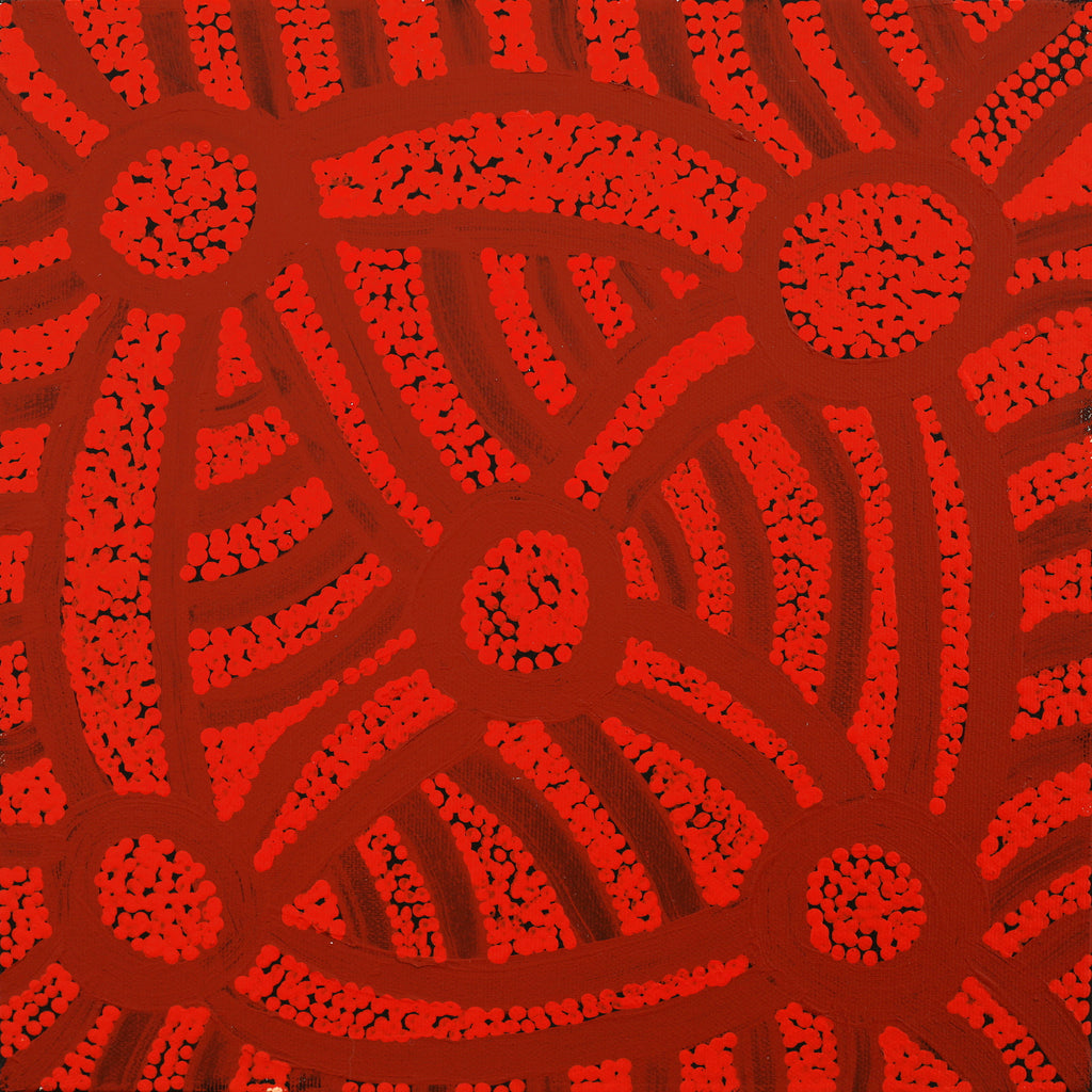 Aboriginal Art by Judith Nungarrayi Martin, Janganpa Jukurrpa (Brush-tail Possum Dreaming) - Mawurrji, 30x30cm - ART ARK®