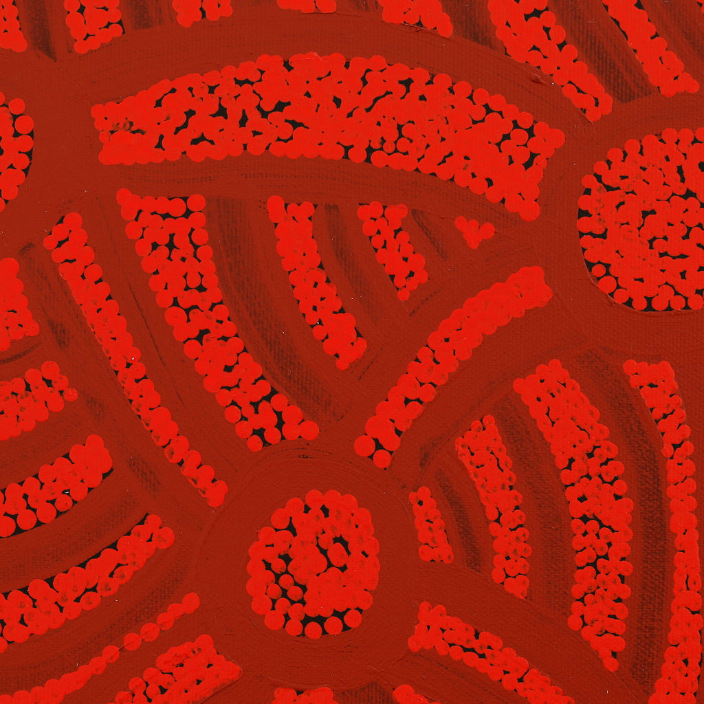 Aboriginal Artwork by Judith Nungarrayi Martin, Janganpa Jukurrpa (Brush-tail Possum Dreaming) - Mawurrji, 30x30cm