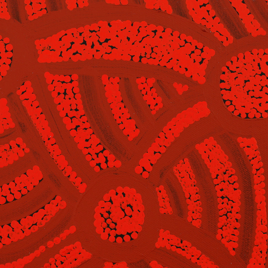 Aboriginal Artwork by Judith Nungarrayi Martin, Janganpa Jukurrpa (Brush-tail Possum Dreaming) - Mawurrji, 30x30cm