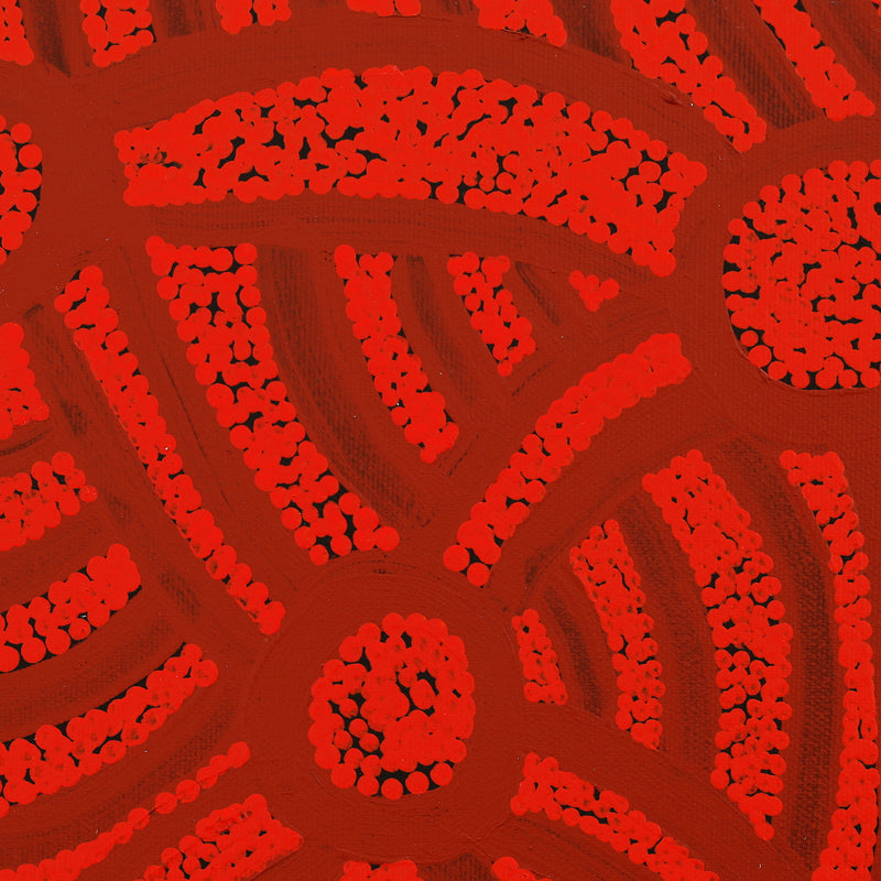 Aboriginal Artwork by Judith Nungarrayi Martin, Janganpa Jukurrpa (Brush-tail Possum Dreaming) - Mawurrji, 30x30cm