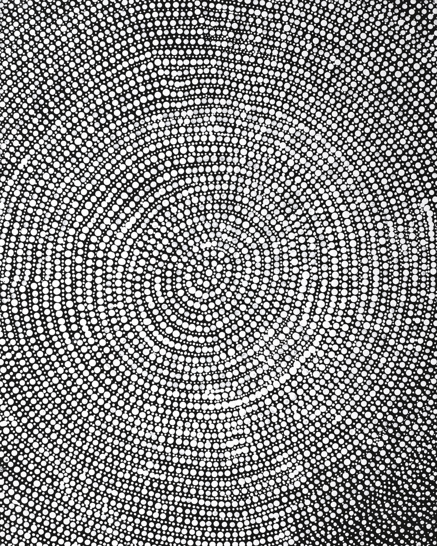 Aboriginal Artwork by Judy Napangardi Dixon, Lukarrara Jukurrpa (Desert Fringe-rush Seed Dreaming), 50x40cm
