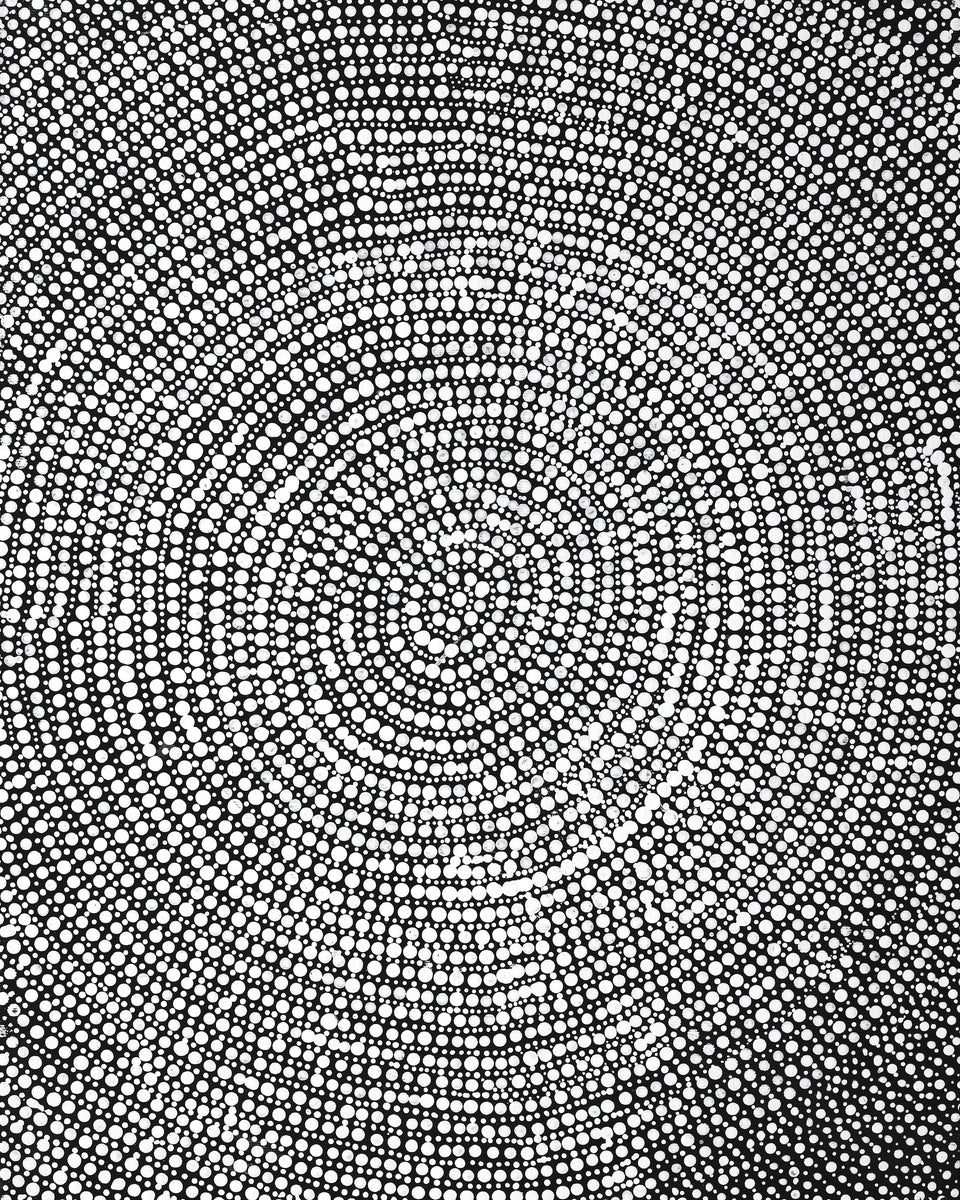 Aboriginal Art by Judy Napangardi Dixon, Lukarrara Jukurrpa (Desert Fringe-rush Seed Dreaming), 50x40cm - ART ARK®