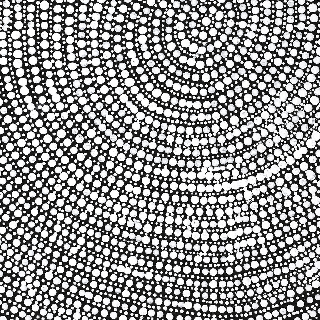 Aboriginal Artwork by Judy Napangardi Dixon, Lukarrara Jukurrpa (Desert Fringe-rush Seed Dreaming), 50x40cm