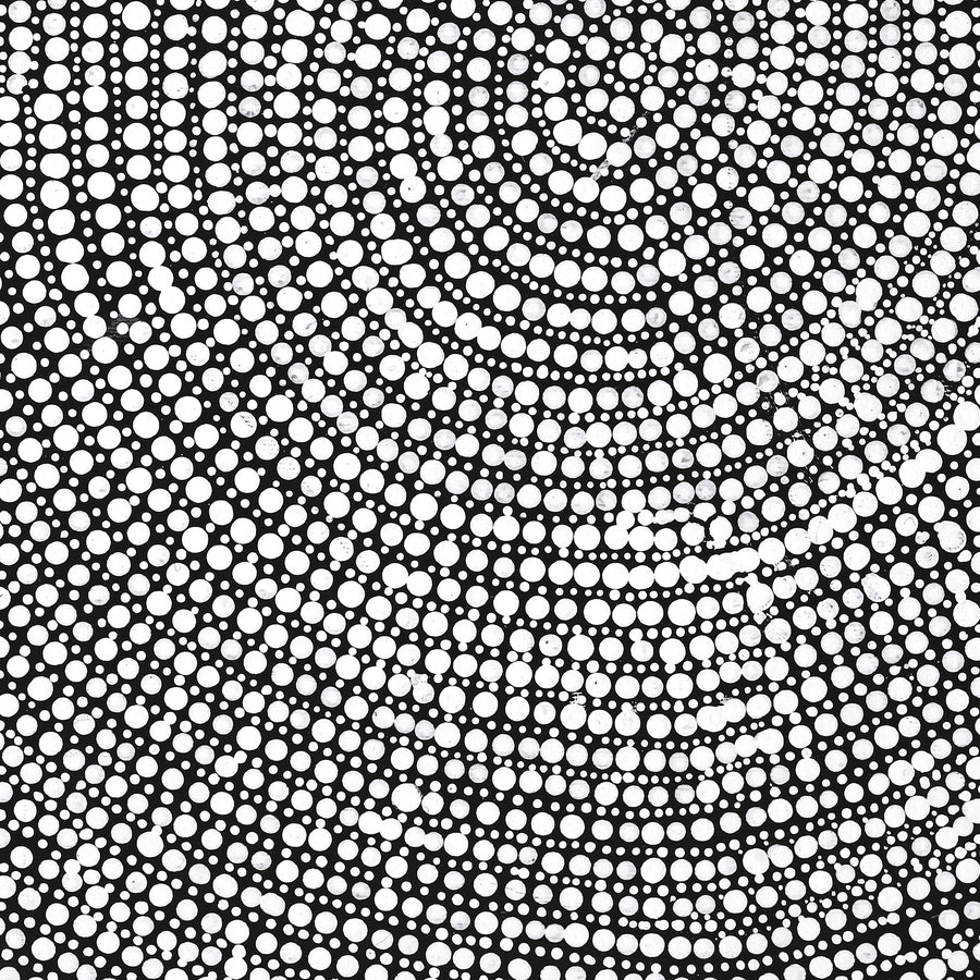 Aboriginal Artwork by Judy Napangardi Dixon, Lukarrara Jukurrpa (Desert Fringe-rush Seed Dreaming), 50x40cm