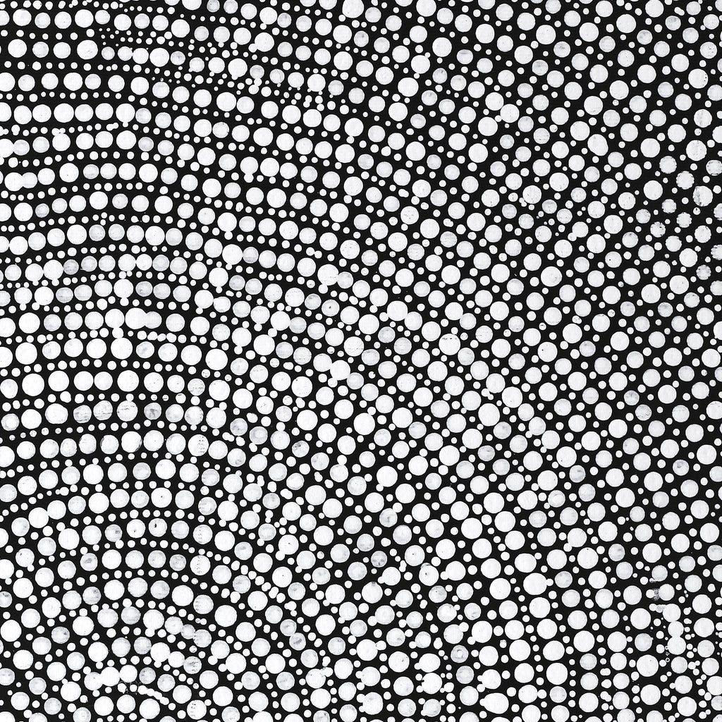 Aboriginal Artwork by Judy Napangardi Dixon, Lukarrara Jukurrpa (Desert Fringe-rush Seed Dreaming), 50x40cm