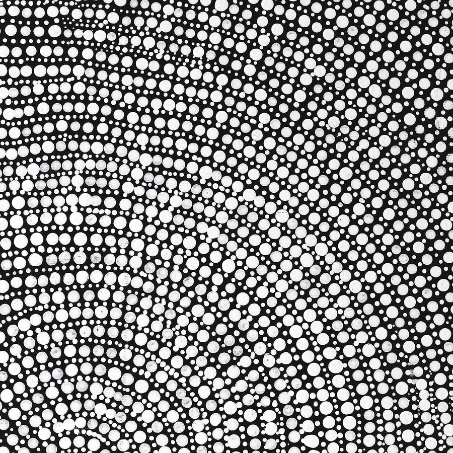Aboriginal Artwork by Judy Napangardi Dixon, Lukarrara Jukurrpa (Desert Fringe-rush Seed Dreaming), 50x40cm