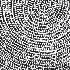 Aboriginal Artwork by Judy Napangardi Dixon, Lukarrara Jukurrpa (Desert Fringe-rush Seed Dreaming), 50x40cm - ART ARK®