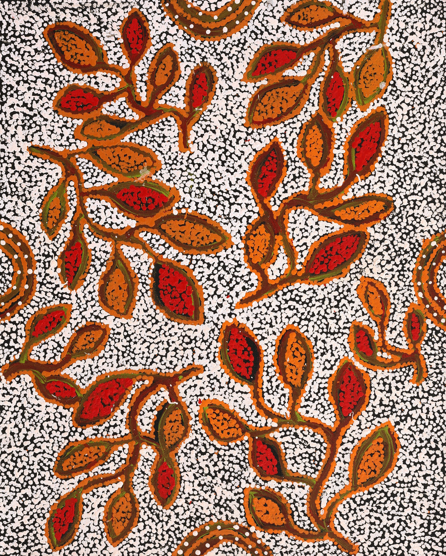 Aboriginal Artwork by Juliette Nampijinpa Brown, Ngapa Jukurrpa (Water Dreaming) - Mikanji, 76x61cm