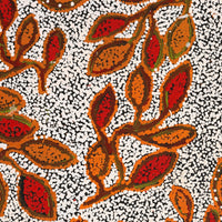 Aboriginal Artwork by Juliette Nampijinpa Brown, Ngapa Jukurrpa (Water Dreaming) - Mikanji, 76x61cm