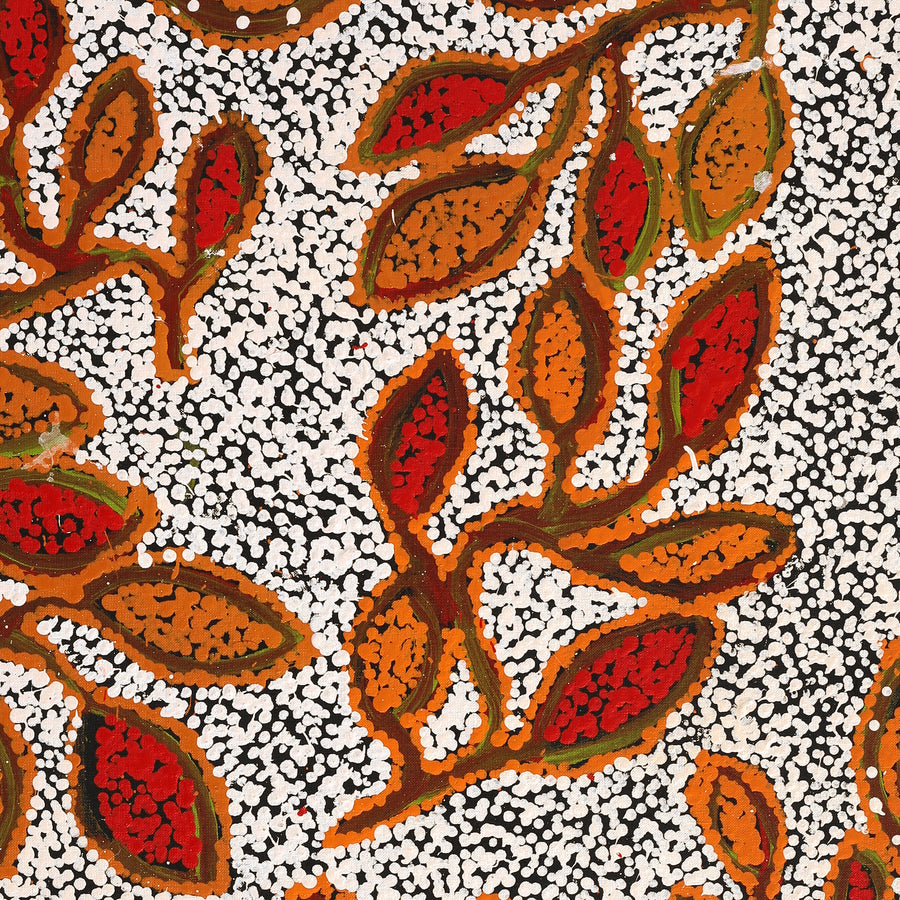 Aboriginal Artwork by Juliette Nampijinpa Brown, Ngapa Jukurrpa (Water Dreaming) - Mikanji, 76x61cm