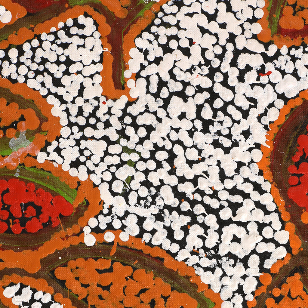 Aboriginal Artwork by Juliette Nampijinpa Brown, Ngapa Jukurrpa (Water Dreaming) - Mikanji, 76x61cm