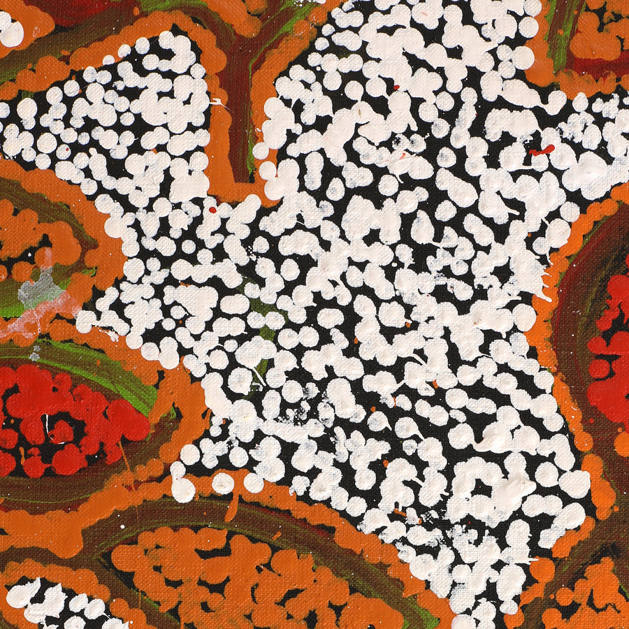 Aboriginal Artwork by Juliette Nampijinpa Brown, Ngapa Jukurrpa (Water Dreaming) - Mikanji, 76x61cm