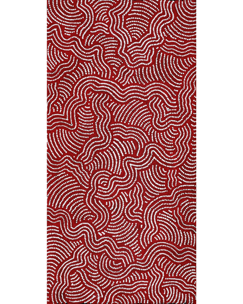 Aboriginal Artwork by Julie Napaljarri Dempsey, Ngapa Jukurrpa (Water Dreaming) - Mikanji, 61x30cm