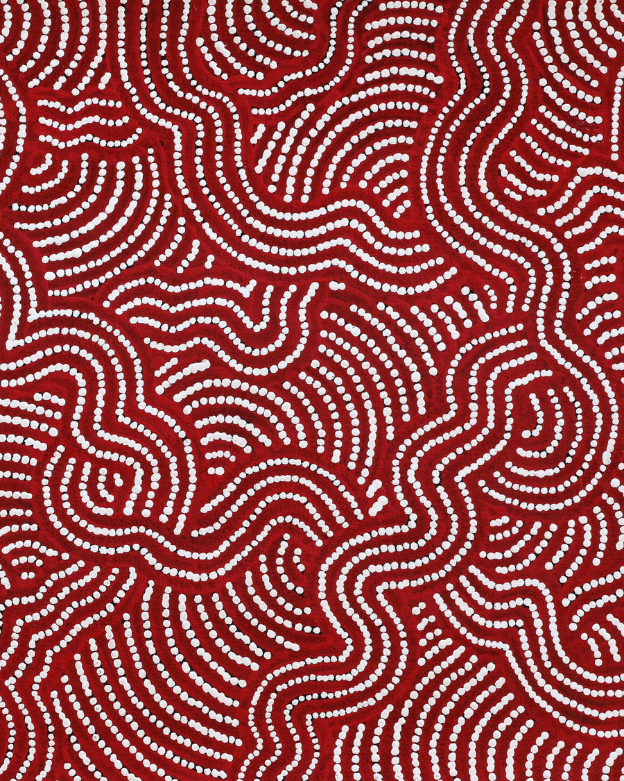 Aboriginal Artwork by Julie Napaljarri Dempsey, Ngapa Jukurrpa (Water Dreaming) - Mikanji, 61x30cm