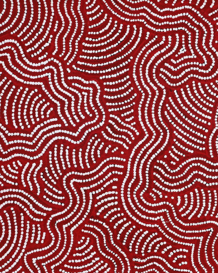 Aboriginal Artwork by Julie Napaljarri Dempsey, Ngapa Jukurrpa (Water Dreaming) - Mikanji, 61x30cm