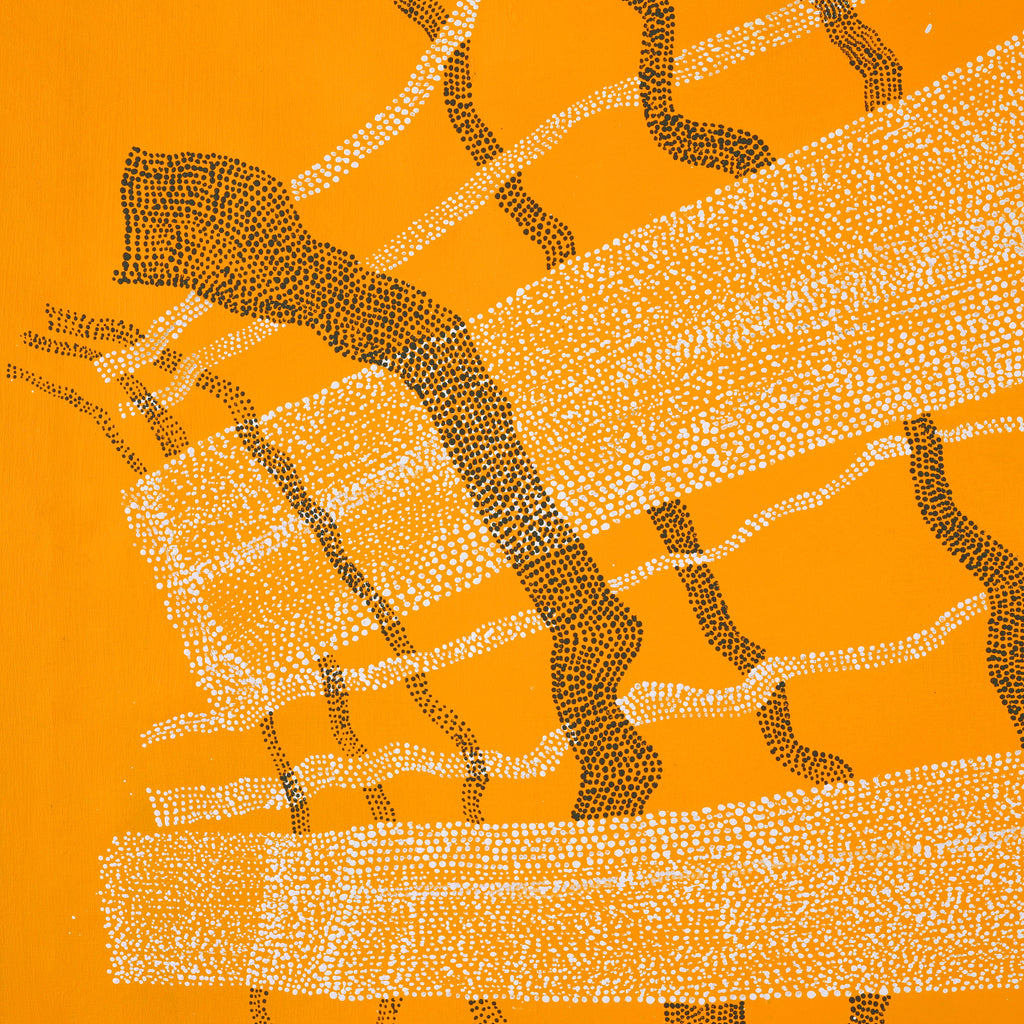 Aboriginal Artwork by Julie Nangala Robertson, Mina Mina Jukurrpa, 107x107cm