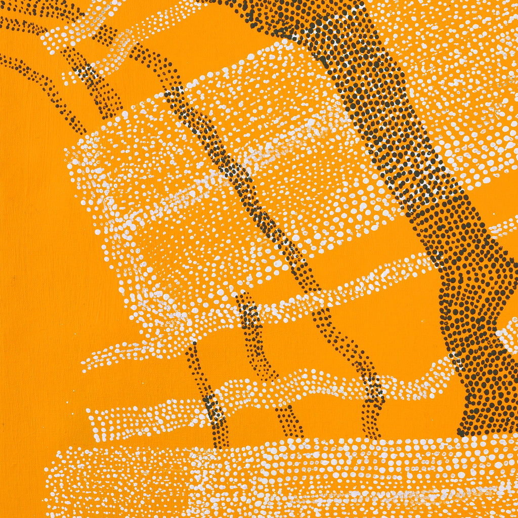 Aboriginal Artwork by Julie Nangala Robertson, Mina Mina Jukurrpa, 107x107cm