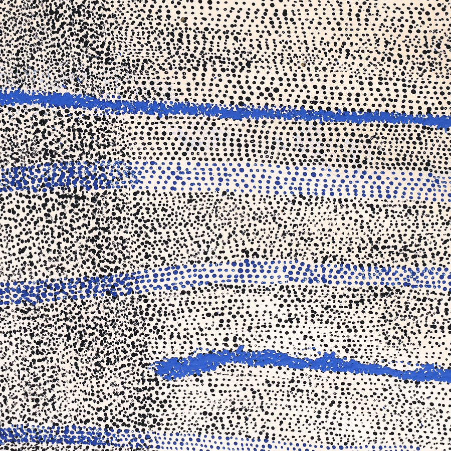 Aboriginal Artwork by Julie Nangala Robertson, Mina Mina Jukurrpa, 152x107cm
