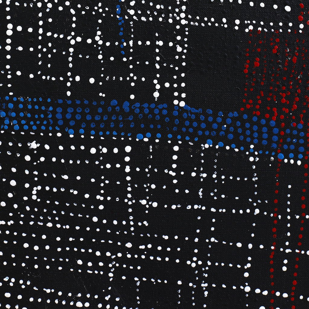 Aboriginal Artwork by Julie Nangala Robertson, Ngapa Jukurrpa (Water Dreaming) - Pirlinyarnu, 152x107cm