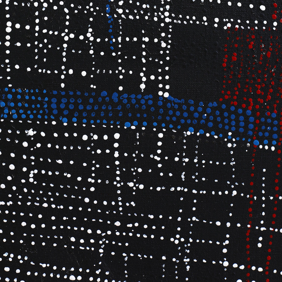 Aboriginal Artwork by Julie Nangala Robertson, Ngapa Jukurrpa (Water Dreaming) - Pirlinyarnu, 152x107cm