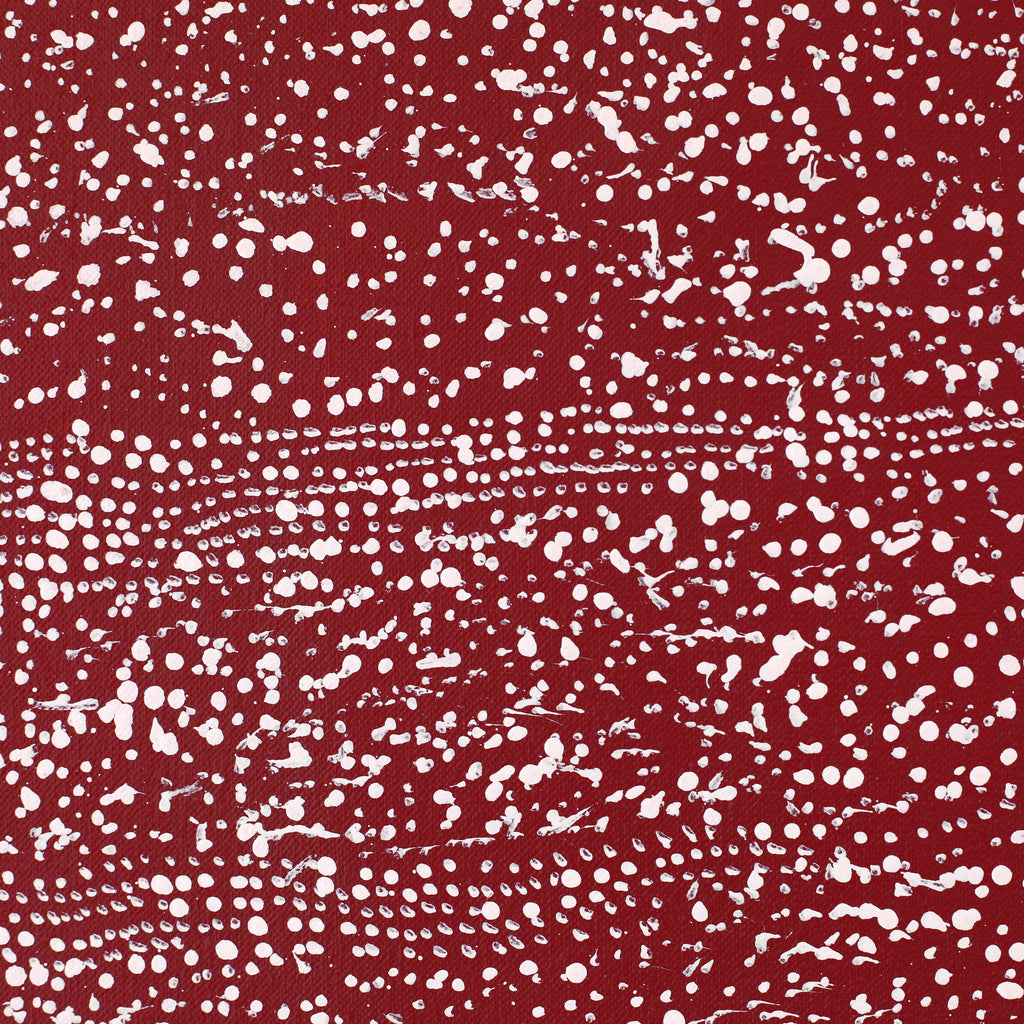 Aboriginal Artwork by Julie Nangala Robertson, Mina Mina Jukurrpa, 203x107cm