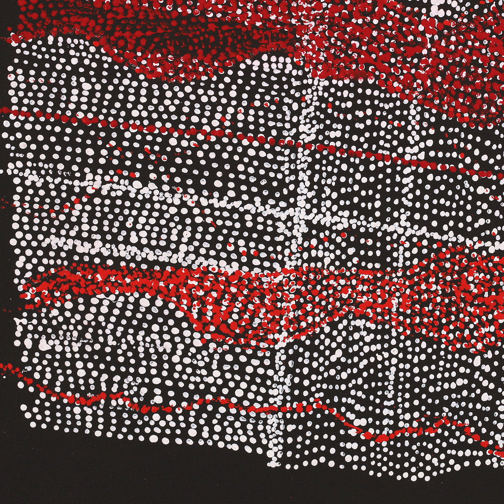 Aboriginal Artwork by Julie Nangala Robertson, Mina Mina Jukurrpa, 46x46cm