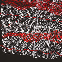 Aboriginal Artwork by Julie Nangala Robertson, Mina Mina Jukurrpa, 46x46cm