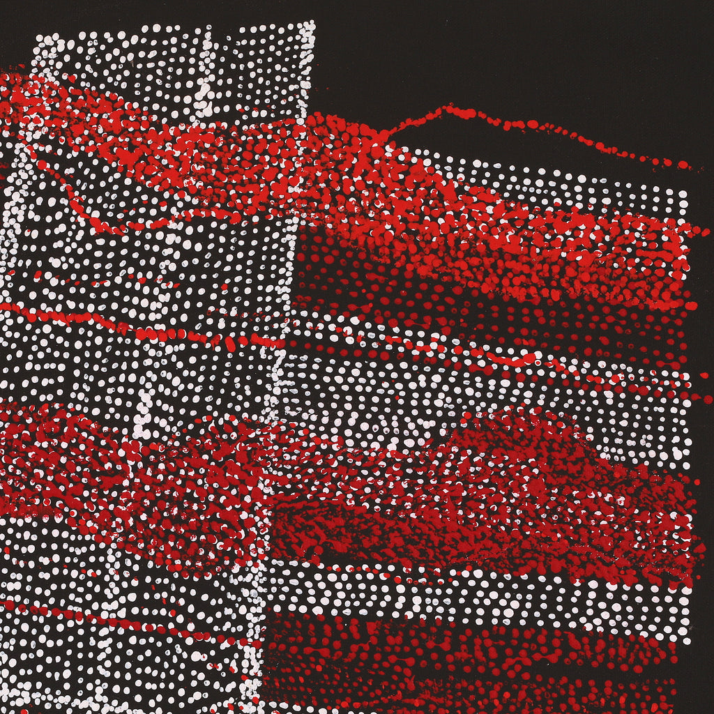 Aboriginal Artwork by Julie Nangala Robertson, Mina Mina Jukurrpa, 46x46cm