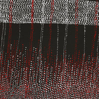 Aboriginal Artwork by Julie Nangala Robertson, Mina Mina Jukurrpa, 61x46cm