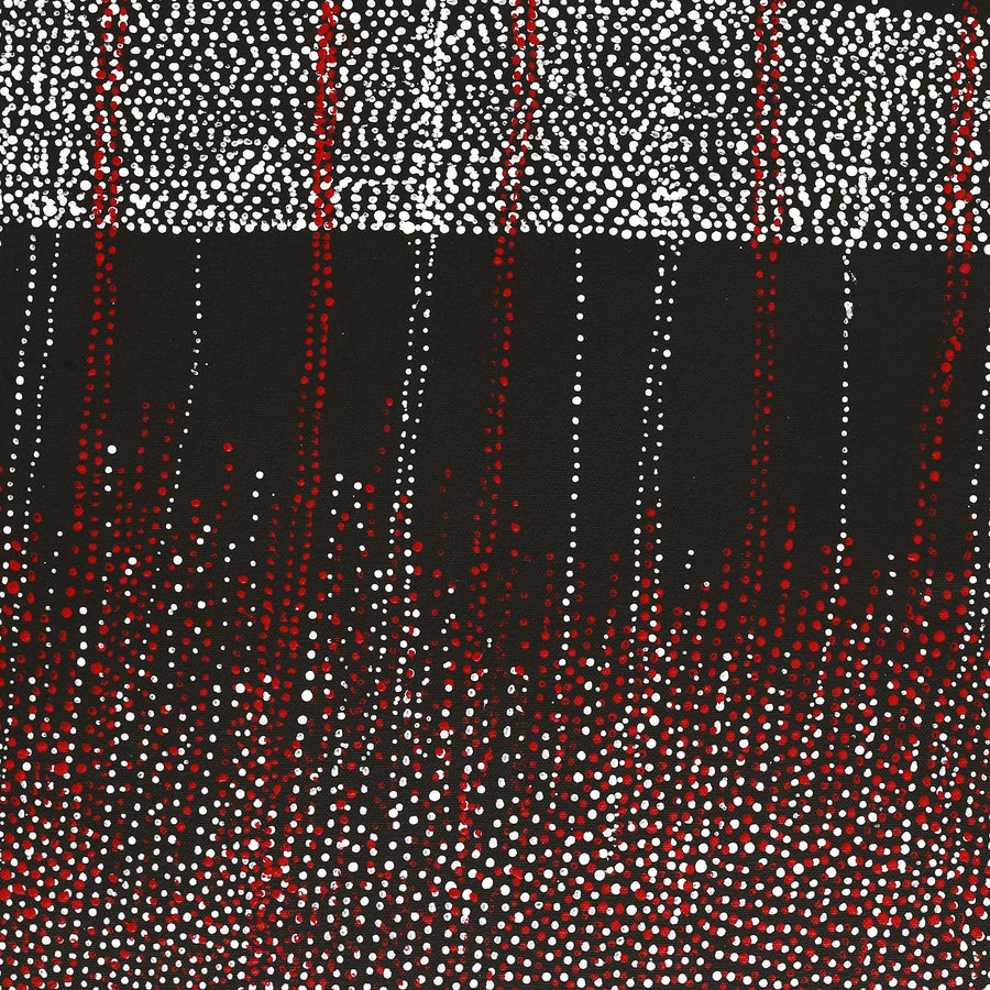 Aboriginal Artwork by Julie Nangala Robertson, Mina Mina Jukurrpa, 61x46cm