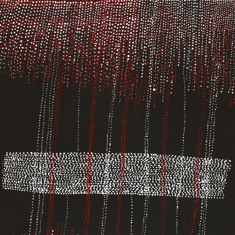 Aboriginal Artwork by Julie Nangala Robertson, Mina Mina Jukurrpa, 61x46cm