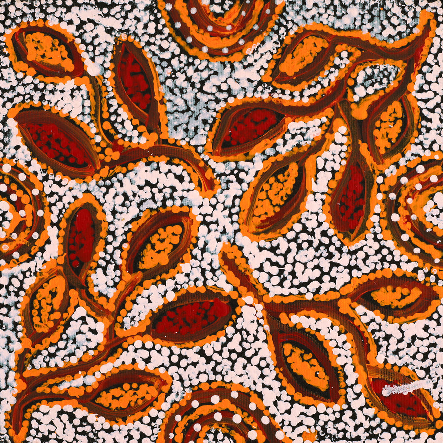 Aboriginal Artwork by Juliette Nampijinpa Brown, Ngapa Jukurrpa (Water Dreaming) - Mikanji, 30x30cm