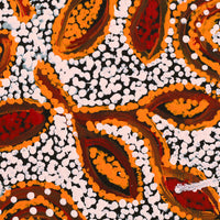 Aboriginal Artwork by Juliette Nampijinpa Brown, Ngapa Jukurrpa (Water Dreaming) - Mikanji, 30x30cm