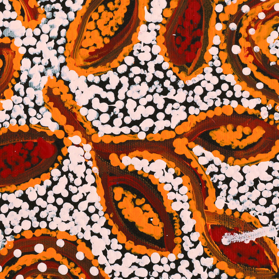 Aboriginal Artwork by Juliette Nampijinpa Brown, Ngapa Jukurrpa (Water Dreaming) - Mikanji, 30x30cm