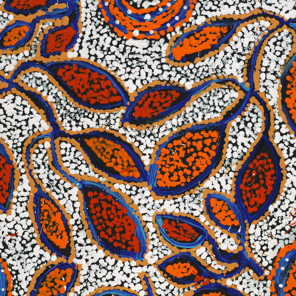 Aboriginal Artwork by Juliette Nampijinpa Brown, Ngapa Jukurrpa (Water Dreaming) - Mikanji, 76x46cm