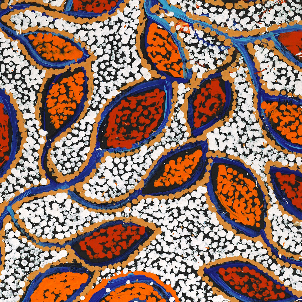 Aboriginal Artwork by Juliette Nampijinpa Brown, Ngapa Jukurrpa (Water Dreaming) - Mikanji, 76x46cm