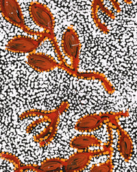 Aboriginal Artwork by Juliette Nampijinpa Brown, Ngapa Jukurrpa (Water Dreaming) - Mikanji, 107x30cm