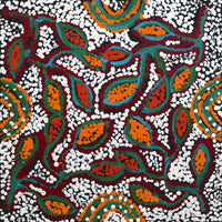 Aboriginal Artwork by Juliette Nampijinpa Brown, Ngapa Jukurrpa (Water Dreaming) - Mikanji, 30x30cm